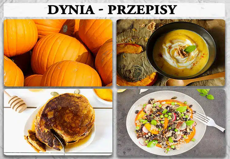 dynia przepisy dynia przepisy