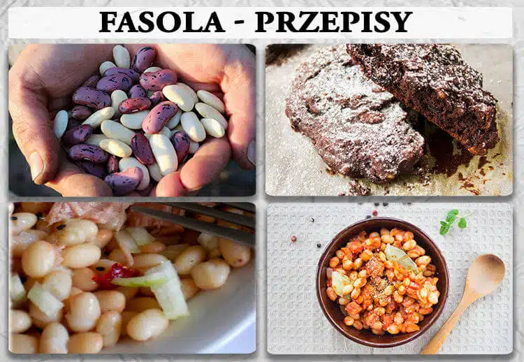 fasola przepisy fasola przepisy