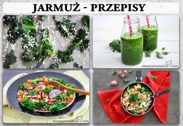 jarmuż przepisy jarmuż przepisy