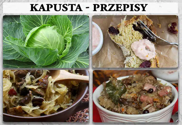 kapusta przepisy kapusta przepisy