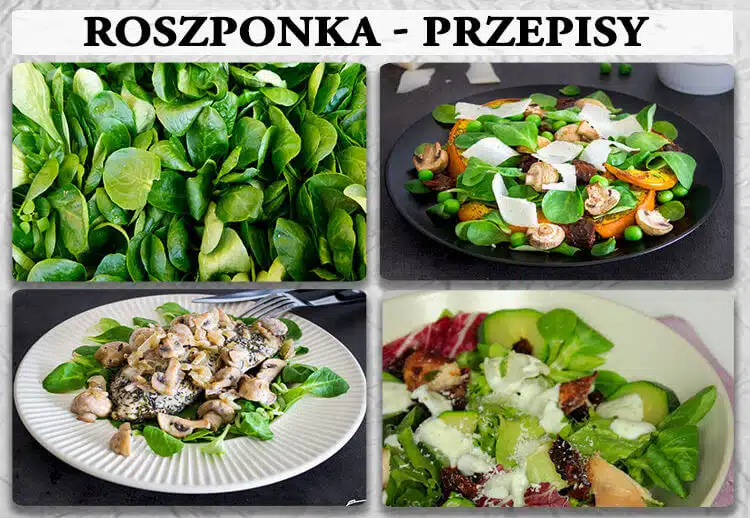 roszponka przepisy