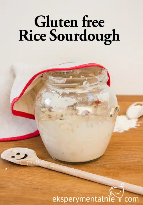 Gluten free Sourdough with Rice flour