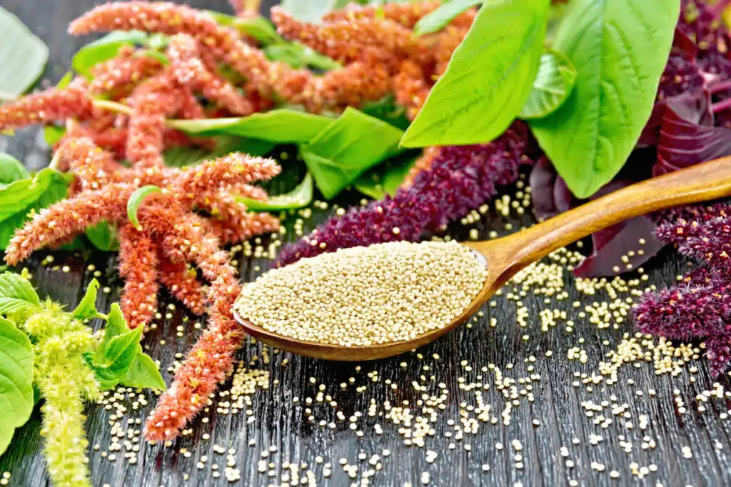 quinoa